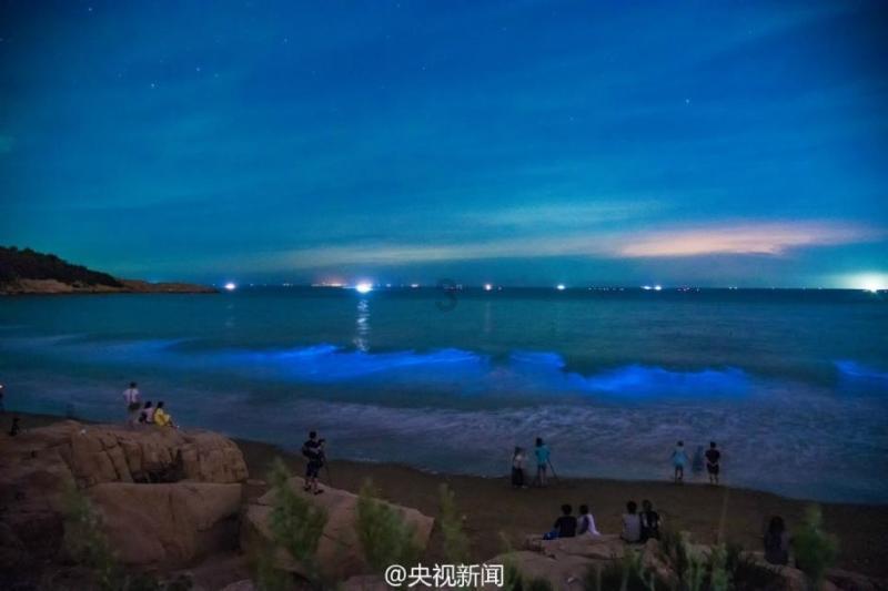手机翻译app排行榜